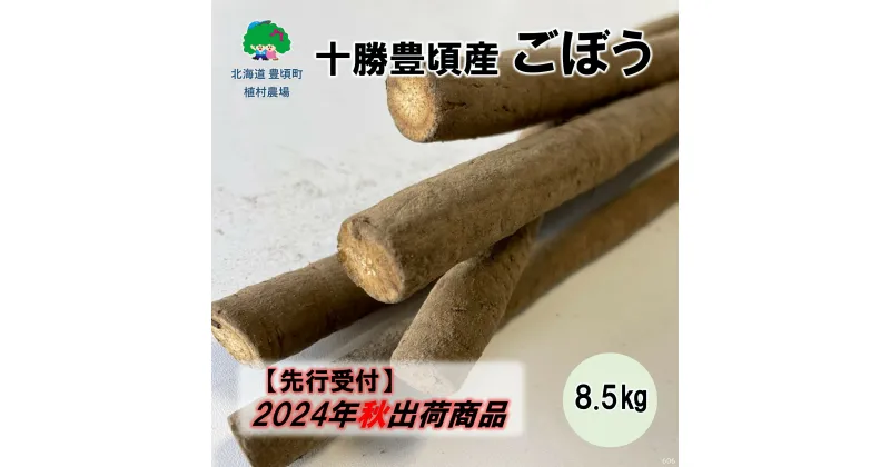 【ふるさと納税】【 2024年 秋出荷 （ 先行予約 ）】 十勝 豊頃産 ごぼう 8.5kg【植村農場】” 北海道 十勝 豊頃町 ” 先行予約 予約 特産 農家直送 数量限定 送料無料