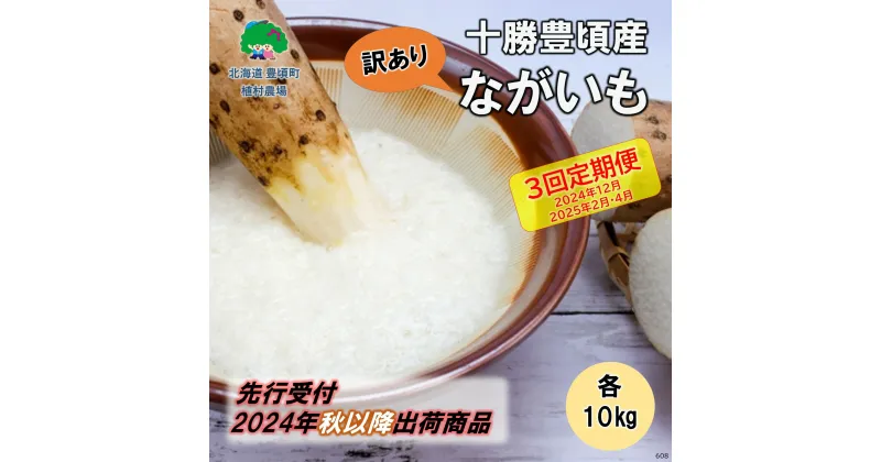 【ふるさと納税】【 2024年 秋出荷 （先行予約）】【訳あり】十勝豊頃産 ながいも 各10kg【3回 定期便 2024年12月・2025年2月・4月発送】【植村農場】” 北海道 十勝 豊頃町 ” 先行予約 予約 特産 農家直送 数量限定 送料無料