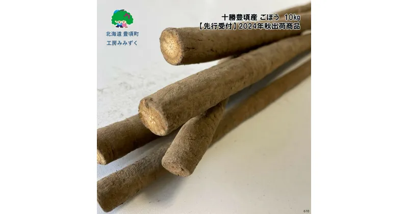 【ふるさと納税】【 2024年 秋出荷 （先行予約商品）】十勝豊頃産 ごぼう 約10kg［工房みみずく］” 北海道 十勝 豊頃町 ” 先行予約 予約 特産 農家直送 数量限定 送料無料 根菜 食物繊維