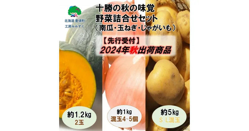 【ふるさと納税】【 2024年 秋出荷 （先行予約商品）】十勝の 秋の味覚 野菜 詰め合わせ ( 南瓜 ・ 玉ねぎ ・ じゃがいも )セット［工房みみずく］” 北海道 十勝 豊頃町 ” 先行予約 予約 特産 農家直送 数量限定 送料無料 かぼちゃ カボチャ たまねぎ ジャガイモ 芋