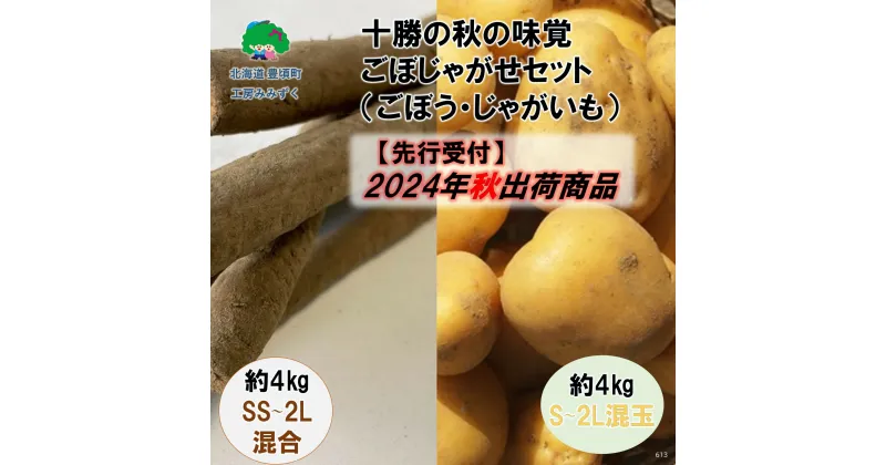 【ふるさと納税】【 2024年 秋出荷 （先行予約商品）】十勝の 秋の 味覚 「 ごぼじゃが セット 」( ごぼう 4kg・ じゃがいも 4kg)［工房みみずく］” 北海道 十勝 豊頃町 ” 先行予約 予約 特産 農家直送 数量限定 送料無料 根菜 食物繊維 ジャガイモ いも 芋