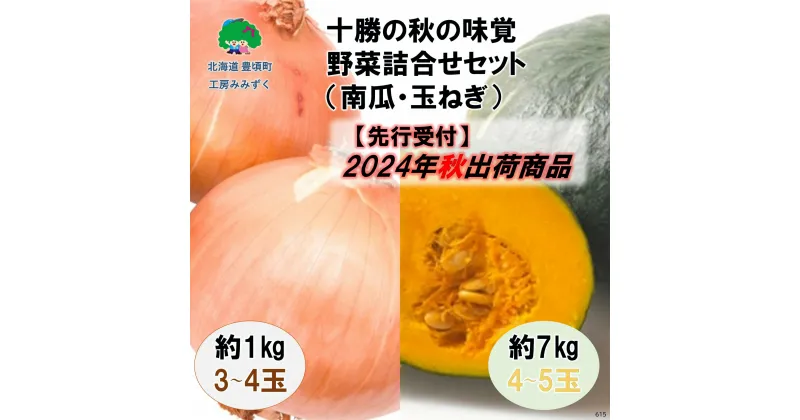 【ふるさと納税】【 2024年 秋出荷 （先行予約商品）】十勝の 秋の味覚　野菜 詰合せ（ 南瓜 ・ 玉ねぎ ）セット ” 北海道 十勝 豊頃町 ” 先行予約 予約 特産 農家直送 数量限定 送料無料 かぼちゃ カボチャ たまねぎ 味覚 ほくほく ホクホク