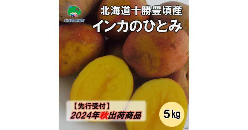 【ふるさと納税】【2024年秋出荷（先行予約商品）】北海道十勝豊頃産 インカのひとみ5kg［安田農場］”北海道 十勝 豊頃町” 先行予約 予約 特産 農家直送 数量限定 送料無料 いんかのひとみ インカ