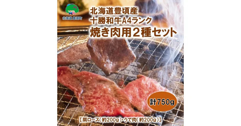 【ふるさと納税】北海道 豊頃産 十勝和牛 A4 焼肉用2種セット 数量限定【安藤牧場生産】（58910668） 北海道 十勝 豊頃町特産 十勝和牛 数量限定 送料無料 A4