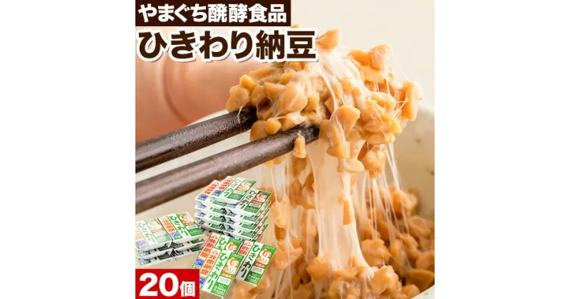 【ふるさと納税】北海道十勝産大豆 やまぐち醗酵食品 ひきわり納豆 70g×20個セット 有限会社やまぐち醗酵食品 《30日以内に出荷予定(土日祝除く)》 北海道 本別町 国産納豆 朝食 納豆 健康 詰合せ お取り寄せ ギフト ご飯のお供 送料無料