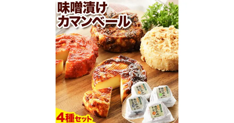 【ふるさと納税】北海道十勝発酵食品「味噌漬カマンベール4種」 渋谷醸造株式会社 送料無料《60日以内に出荷予定(土日祝除く)》 北海道 本別町 味噌 味噌漬 カマンベール チーズ 発酵食品 発酵 4種 詰め合わせ 食べ比べ