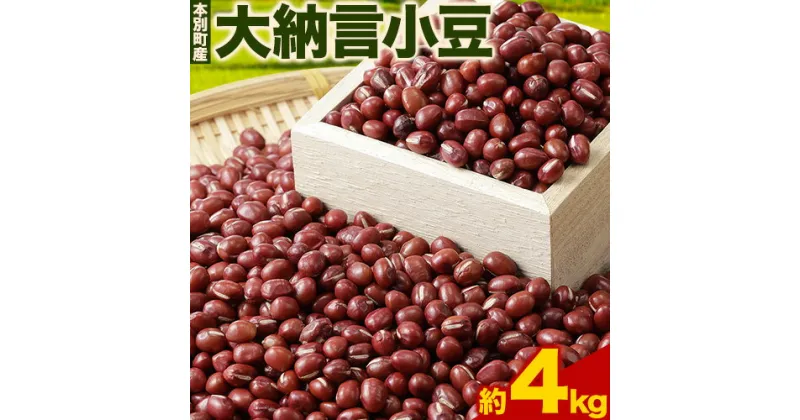 【ふるさと納税】令和5年度産 大納言小豆4kg 北海道十勝本別町産 《60日以内に出荷予定(土日祝除く)》本別町農業協同組合 送料無料