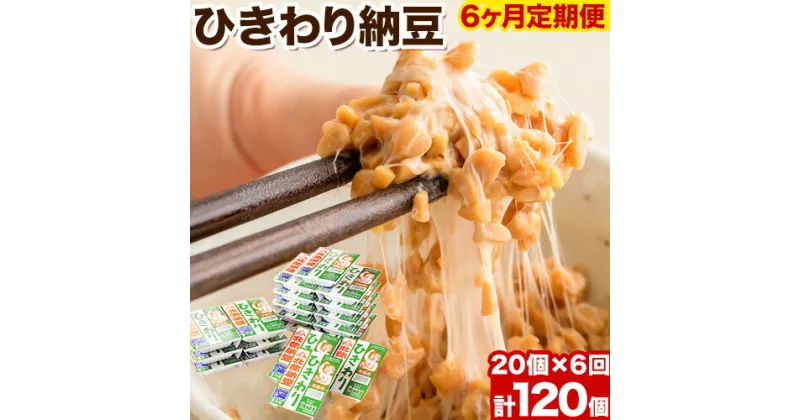 【ふるさと納税】6ヶ月定期便 北海道十勝産大豆 やまぐち醗酵食品 ひきわり納豆 70g×20個セット 合計120個お届け 有限会社やまぐち醗酵食品 《お申込み月の翌月から出荷開始》 北海道 本別町 国産納豆 朝食 納豆 健康 お取り寄せ 定期便 計6回お届け ご飯のお供 送料無料