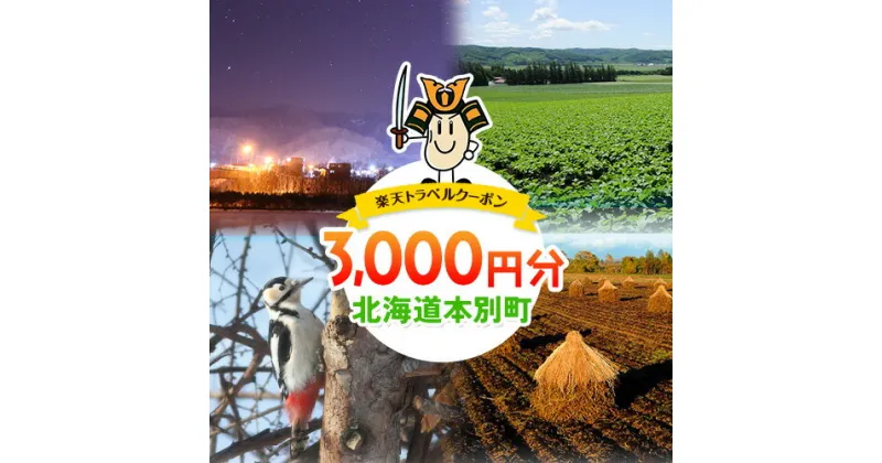 【ふるさと納税】北海道本別町の対象施設で使える 3,000円分の楽天トラベルクーポン《寄附翌日を目途に付与いたします》北海道 本別町 寄附額 10,000円 旅行 宿泊 クーポン ホテル