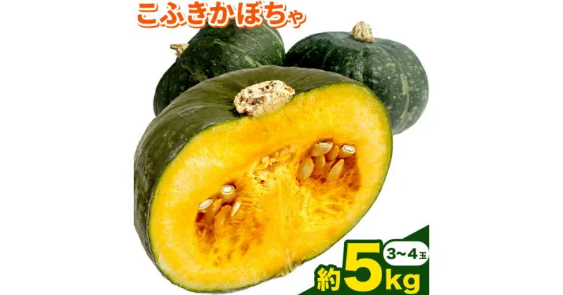 【ふるさと納税】 こふき かぼちゃ 南瓜 約5kg 3~4玉 《10月中旬-11月中旬頃出荷》高橋賢三 送料無料 北海道 本別町 北海道 十勝 本別町産 かぼちゃ 栗かぼちゃ パンプキン ホクホク 野菜