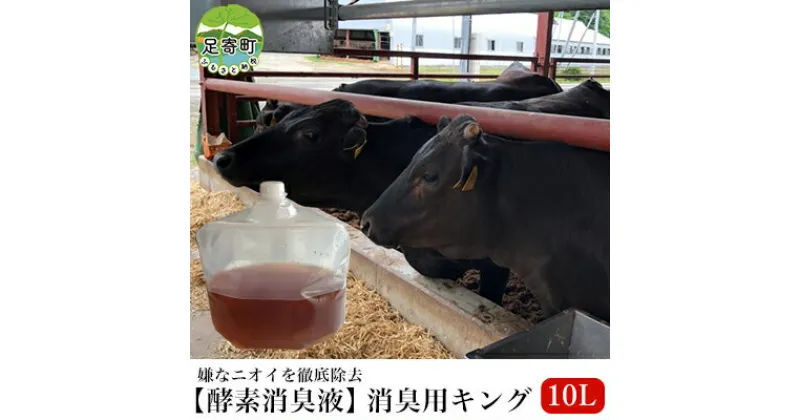 【ふるさと納税】【酵素消臭液】消臭用キング10L 北海道十勝足寄産　植物・雑貨・日用品