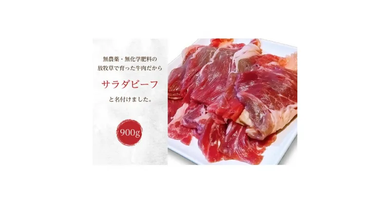 【ふるさと納税】十勝産 牛バラ肉スライス900g（300g×3）北海道足寄町 ありがとう牧場【サラダビーフ】無農薬・無化学肥料の放牧地で育った牛　お肉・牛肉・バラ・牛肉炒め物・牛バラ肉・スライス・900g　お届け：2024年11月1日～2025年3月31日まで