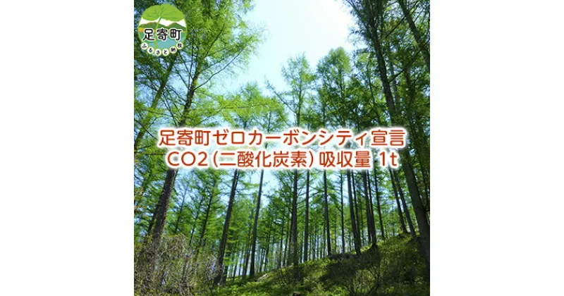 【ふるさと納税】カーボンオフセット CO2（二酸化炭素）吸収量　1t　【 地域のお礼の品 カタログ 感謝状 】