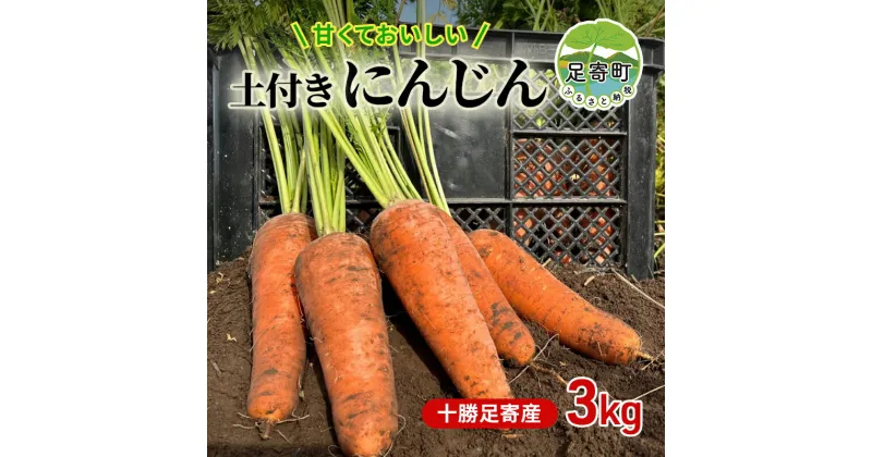 【ふるさと納税】【 十勝 足寄産 】 甘くておいしい 大空と大地の中で育った 人参 3kg ( 土付き ) にんじん　 野菜 根菜 北海道産 甘い 食材 北海道野菜 緑黄色野菜 　お届け：2024年11月上旬～2025年4月下旬まで