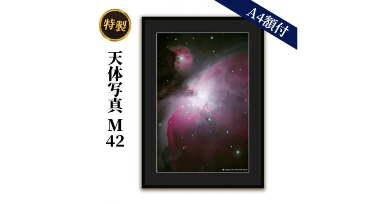 【ふるさと納税】特製 天体写真(A4額付)M42　 天体写真 写真 大散光星雲 A4