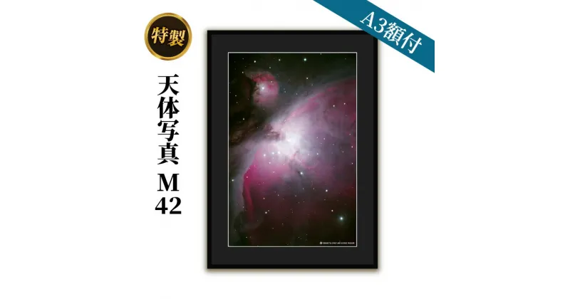 【ふるさと納税】特製 天体写真(A3額付)M42　インテリア・雑貨・日用品