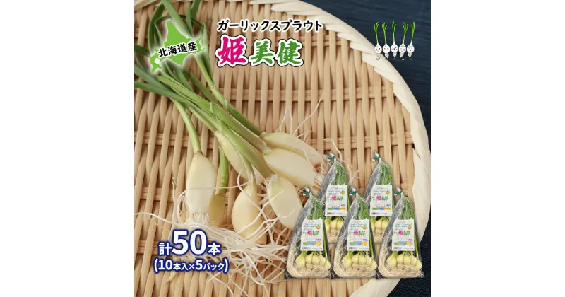 【ふるさと納税】発芽にんにく 北海道産 ガーリックスプラウト姫美健 計50本 (10本入×5パック) にんにく ガーリック 野菜 健康　野菜