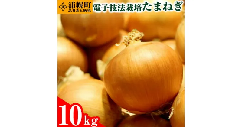 【ふるさと納税】十勝 電子技法栽培たまねぎ 約10kg 《10月上旬から順次出荷》橋枝物産　北海道　浦幌町