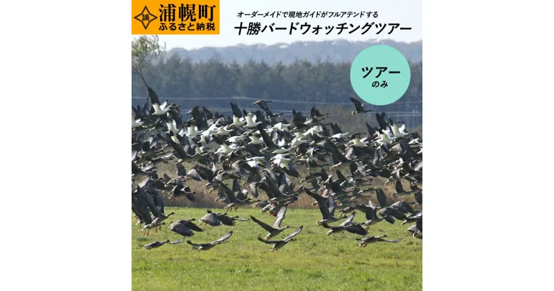 【ふるさと納税】十勝バードウォッチングツアー ツアーのみ 体験型返礼品