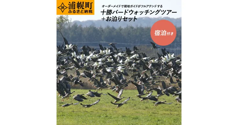 【ふるさと納税】十勝バードウォッチングツアー ツアー+お泊りセット 体験型返礼品