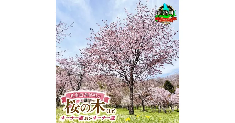 【ふるさと納税】北海道釧路町の桜の木(1本)のオーナー権及びオーナー証＜植樹開催＆プレートお届け時期：2025年5月ごろ＞【 北海道 釧路町 別保公園 桜 祭り 自然環境 自然 保護 ひがし北海道 さくら 】 釧路町 釧路超 特産品