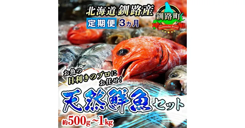 【ふるさと納税】【定期便 3ケ月連続】 お魚の目利きのプロにお任せ！北海道産（国産） 天然 鮮魚 約500g?1kg（釧路の鮮魚セット）【 北海道 釧路町 】 ワンストップ特例制度 オンライン 釧路町 釧路超 特産品