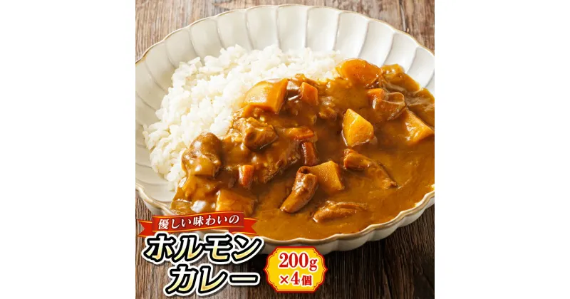 【ふるさと納税】優しい味わいのホルモンカレー 200g×4個（箱） | ホルモン 野菜 昆布 だし ダシ レトルト カレー レトルトカレー 食品 常温 備蓄 常備 保存食 避難食 防災食 送料無料 森谷食品 釧路町 釧路超 特産品