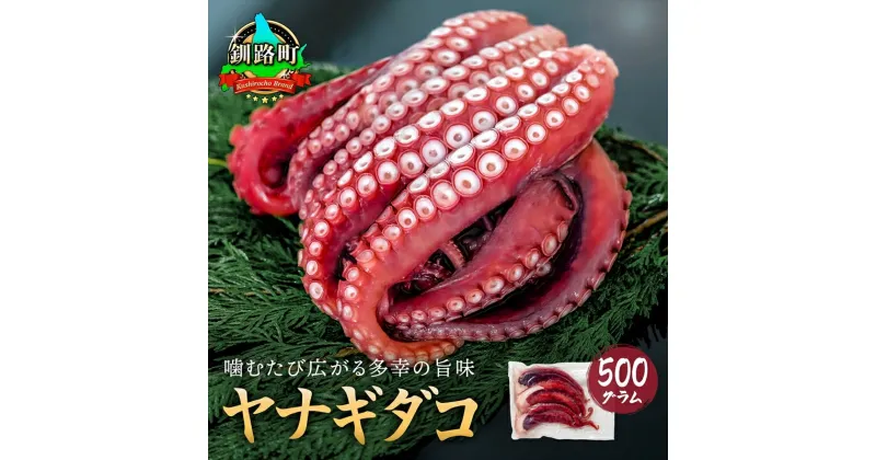 【ふるさと納税】ヤナギダコ500g【産地直送】プリプリ食感！釧路町昆布森産 ヤナギダコ｜噛むたびに広がる多幸の旨味 お刺身 鍋 たこ焼き たこ やき 唐揚げ 煮物に最適 栄養満点 贈答用 にも 漁師直送 鮮度抜群 タコ 蛸 北海道 冷凍 釧路町 釧路超 特産品