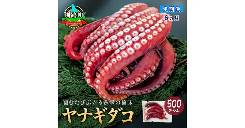 【ふるさと納税】【定期便6ヶ月】ヤナギダコ500g【産地直送】プリプリ食感！釧路町昆布森産 ヤナギダコ｜噛むたびに広がる多幸の旨味 お刺身 鍋 たこ焼き たこ やき 唐揚げ 煮物に最適 栄養満点 贈答用 にも 漁師直送 鮮度抜群 タコ 蛸 北海道 冷凍 釧路町 釧路超 特産品