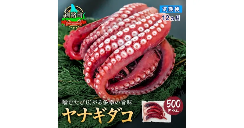 【ふるさと納税】【定期便12ヶ月】ヤナギダコ500g【産地直送】プリプリ食感！釧路町昆布森産 ヤナギダコ｜噛むたびに広がる多幸の旨味 お刺身 鍋 たこ焼き たこ やき 唐揚げ 煮物に最適 栄養満点 贈答用 にも 漁師直送 鮮度抜群 タコ 蛸 北海道 冷凍 釧路町 釧路超 特産品