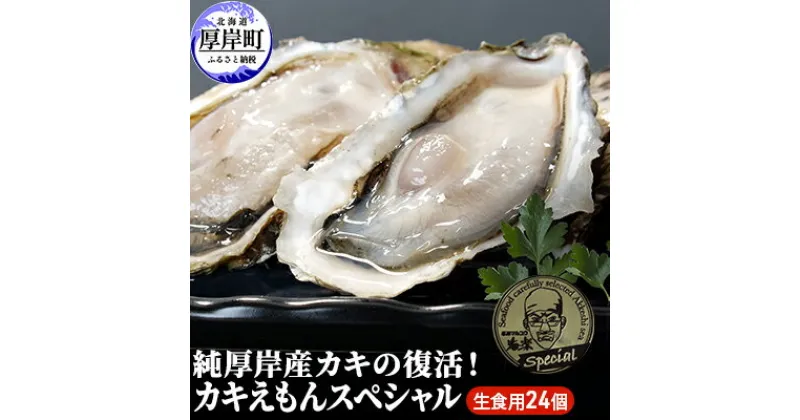 【ふるさと納税】純厚岸産カキの復活 カキえもんスペシャル 24個 生食用 牡蠣 北海道 カキ 厚岸で一番小さい牡蠣　魚貝類 生牡蠣 かき メルマガ掲載商品2　お届け：2025年1月10日～7月30日まで　