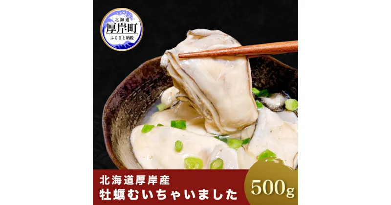 【ふるさと納税】牡蠣 北海道厚岸産 牡蠣むいちゃいました！ 生食用 500g×1 むき身　 生食 むき身 生牡蠣 貝 海鮮 魚介類 新鮮 厚岸