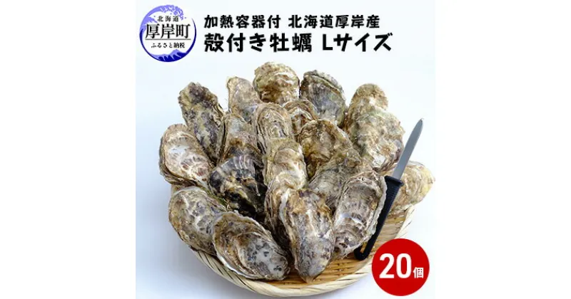 【ふるさと納税】厚岸産 殻付き牡蠣Lサイズ20個入(加熱容器付)北海道 牡蠣 カキ かき 生食 生食用 ミルク レンジ　魚貝類 生牡蠣 かき カキ 送料無料 新鮮 濃厚 大粒 メルマガ掲載商品2　お届け：2023年11月～