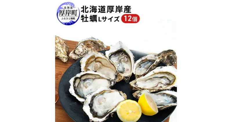 【ふるさと納税】北海道厚岸産 牡蠣 Lサイズ 1ダース（12個入り） 生食用　 生食 生牡蠣 貝付き牡蠣 貝 海鮮 魚介類 シーフード 12個入り 殻付き牡蠣 　メルマガ掲載商品1