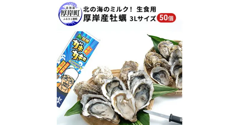 【ふるさと納税】北の海のミルク！ 厚岸産 牡蠣 3Lサイズが50個！ 生食用　 生食 生牡蠣 貝付き牡蠣 貝 海鮮 魚介類 3L 殻付き牡蠣 メルマガ掲載商品3