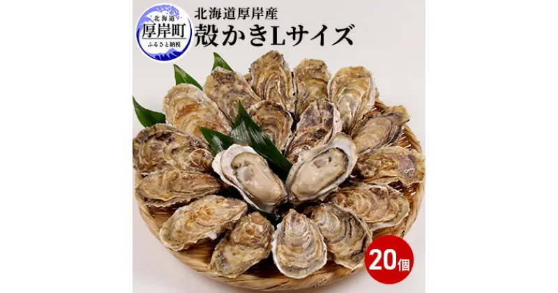 【ふるさと納税】厚岸産　殻かき L20個セット 北海道 牡蠣 カキ かき 生食 生食用 生牡蠣　魚貝類 生牡蠣 かき