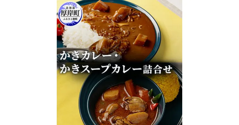 【ふるさと納税】かきカレー かきスープカレー詰合せ 北海道 カレー スープ スープカレー レトルト レトルトカレー レトルト食品　加工品 レトルト 牡蠣