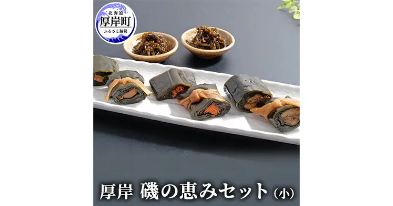 【ふるさと納税】厚岸磯の恵みセット（小） 北海道 昆布 佃煮　加工品・こんぶ・魚介類