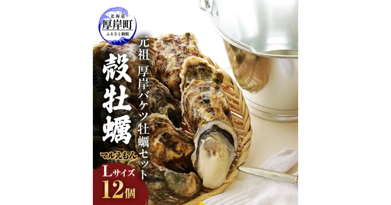 【ふるさと納税】元祖 厚岸バケツ牡蠣セット12個 北海道 牡蠣 カキ かき　　魚介類 牡蠣 カキ シーフード