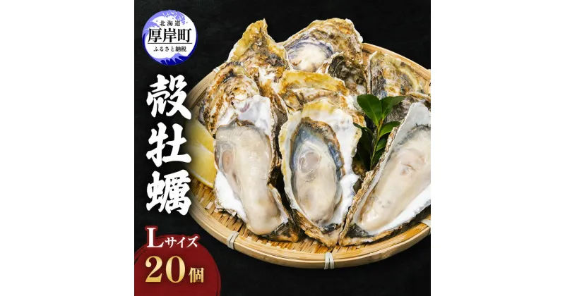 【ふるさと納税】厚岸産 殻牡蠣 Lサイズ 20個 セットカキ 牡蠣　魚介類 牡蠣 カキ 送料無料 新鮮 濃厚 大粒 メルマガ掲載商品2