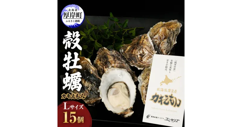 【ふるさと納税】厚岸産 牡蠣 カキえもん Lサイズ 15個 北海道 牡蠣 カキ かき 生食 生食用 生牡蠣　魚貝類 生牡蠣 かき カキ シーフード　お届け：2024年11月～2025年7月31日まで