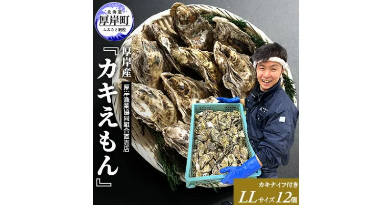 【ふるさと納税】厚岸産 ブランドかき カキえもん LLサイズ 12個 牡蠣　魚介類・カキ・牡蠣　お届け：2024年11月～2025年7月30日まで