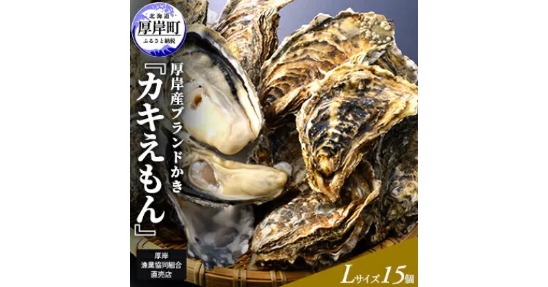 【ふるさと納税】 厚岸産ブランドかき カキえもん Lサイズ 15個セット 北海道 牡蠣 カキ かき 生食 生食用 生牡蠣　魚介類・カキ・牡蠣　お届け：2024年11月～2025年7月31日まで