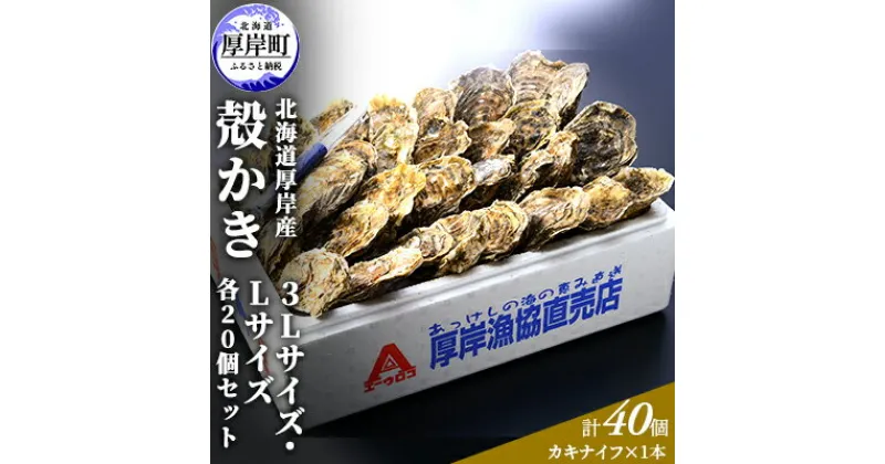 【ふるさと納税】厚岸産 殻かき 3L 20個・L 20個セット (合計40個) 北海道 牡蠣 カキ かき 生食 　魚介類 カキ