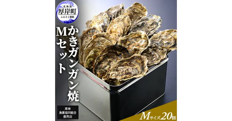 【ふるさと納税】【厚岸漁協直売店特製】 かきガンガン焼 Mセット20個 北海道 牡蠣 カキ かき 生牡蠣 殻付 　魚介類・カキ・牡蠣