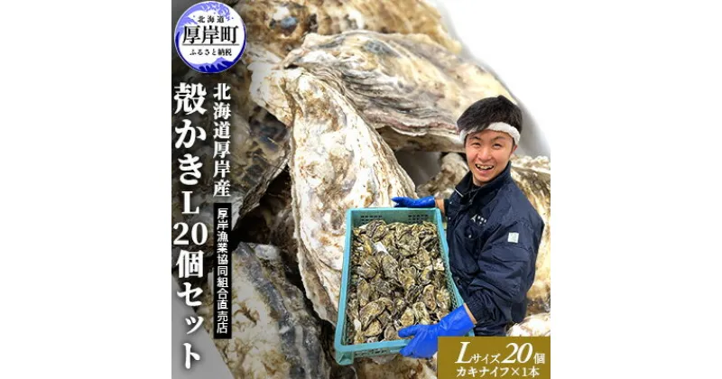 【ふるさと納税】厚岸産 殻かき L 20個セット 北海道 牡蠣 カキ かき 生食 　魚介類 カキ