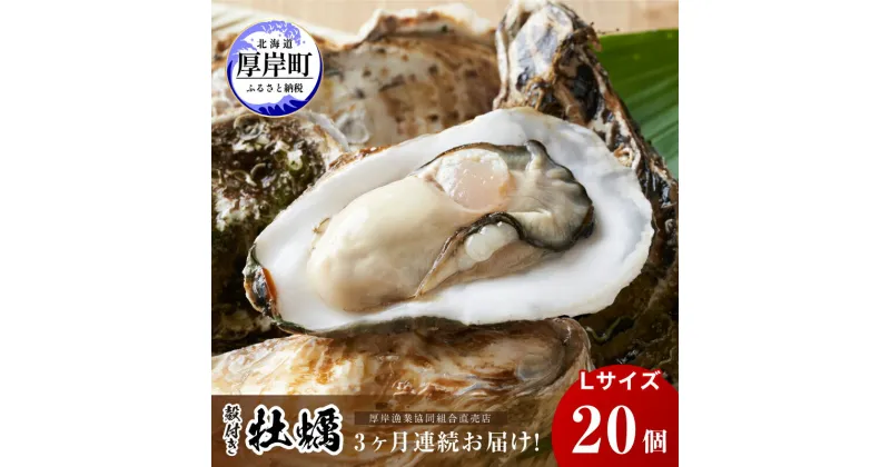 【ふるさと納税】定期便 3ヶ月 北海道 厚岸産 牡蠣 Lサイズ 20個 (各回20個×3ヶ月分,合計60個) 殻付き 生食 カキナイフ付き かき カキ　定期便・ 生牡蠣 魚介類 貝 かき