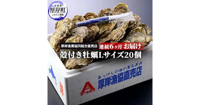 【ふるさと納税】定期便 6ヶ月 北海道 厚岸産 牡蠣 Lサイズ 20個 (各回20個×6ヶ月分,合計120個) 殻付き 生食 カキナイフ付き かき カキ　定期便・魚貝類 生牡蠣 かき Lサイズ