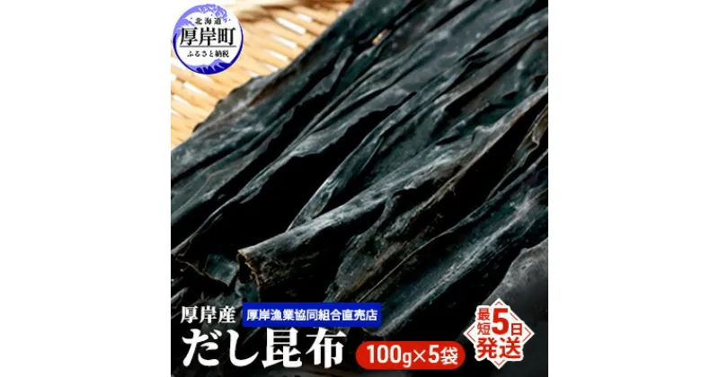 【ふるさと納税】【とっても便利】 厚岸産 だし昆布 100g×5袋 (合計500g)　魚貝類・こんぶ