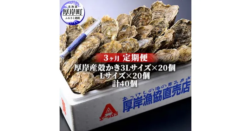 【ふるさと納税】定期便 3ヶ月 北海道 厚岸産 牡蠣 3L 20個 と L 20個 ひと月あたり40個お届け (各回40個×3ヶ月分,合計120個) 殻付き 生食 かき カキ　定期便・ 生食 生牡蠣 貝付き牡蠣 貝 海鮮 魚介類